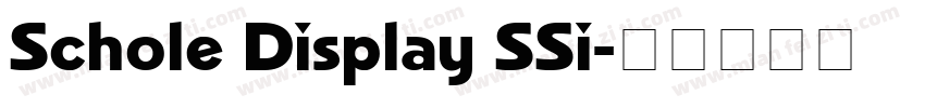 Schole Display SSi字体转换